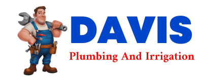 Trusted plumber in THE COLONY